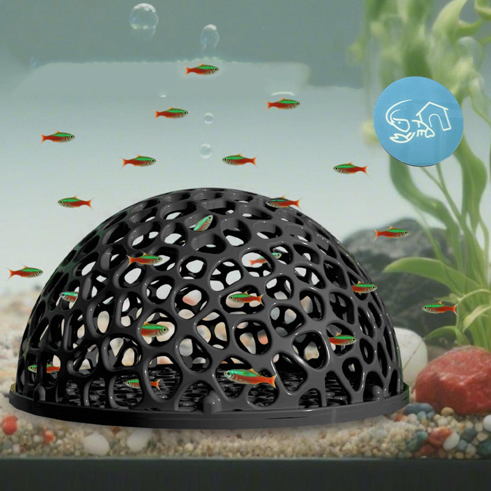 Aquarium Planted Seeds - Shrimp Breeding Cave fish tank Shrimp