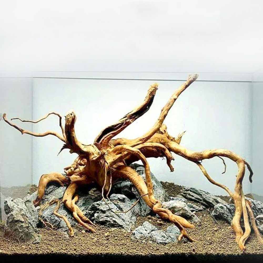 Aquarium Plant Roots - 20-25CM Large Aquarium Driftwood Natural Fish