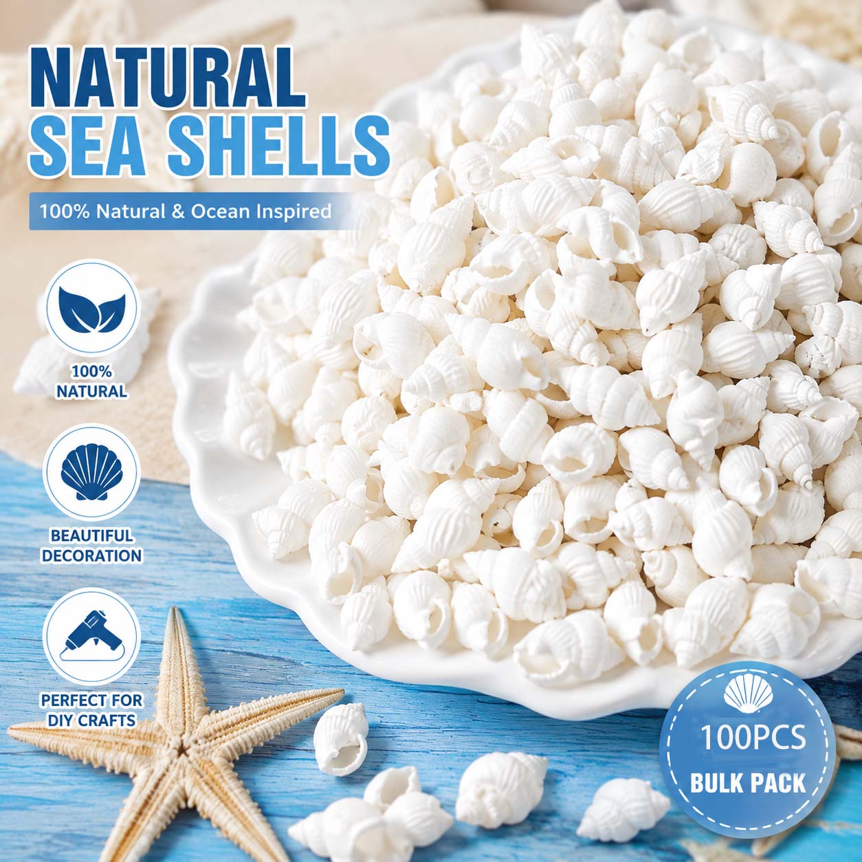 Planted Aquarium Making - Natural White Mini Sea Shells for