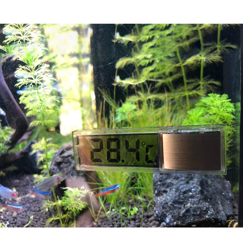 Waterproof Aquarium Thermomete - Aquarium Planted Seeds review and price