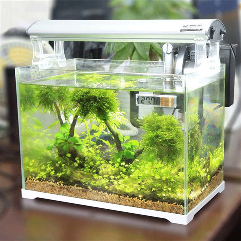 Waterproof Aquarium Thermomete - Aquarium Planted Seeds review and price