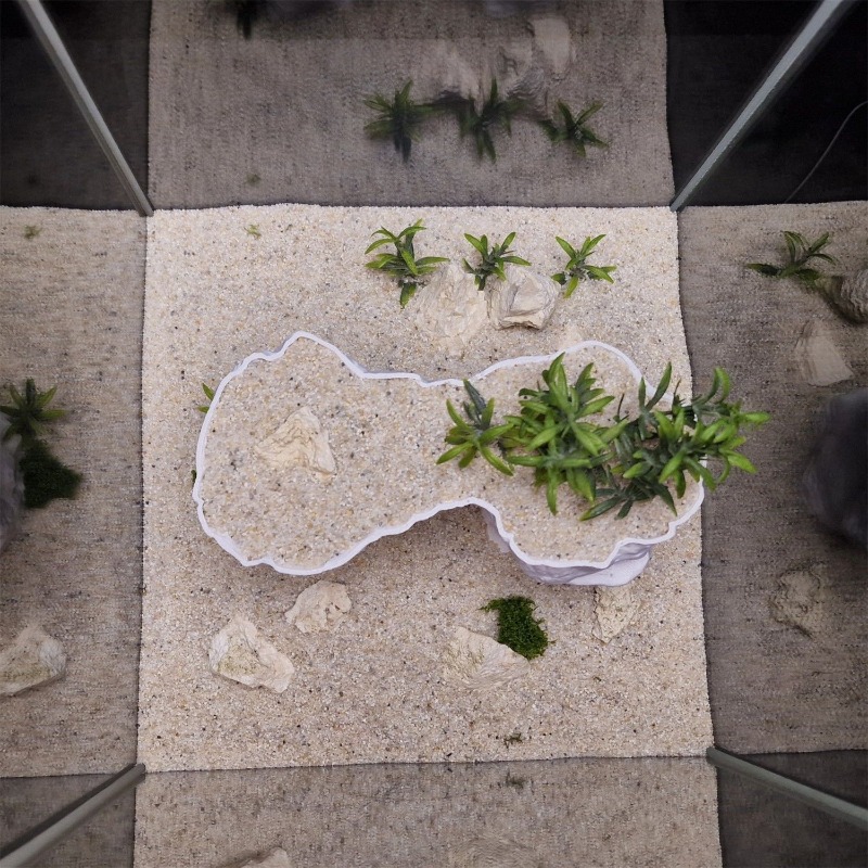 Aquarium 3D Printed Planting B - Aquarium Planted Tank Soil review and price