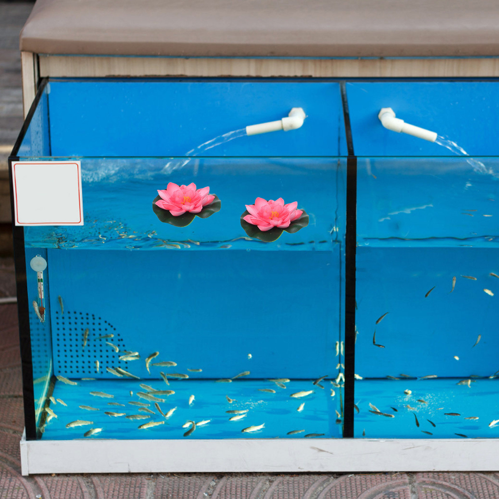 12Pcs Artificial Floating Wate - Aquarium Planted Plants review and price