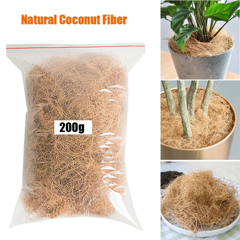 Natural Coconut Husk Fiber Flo - Tissue Culture Plant review and price