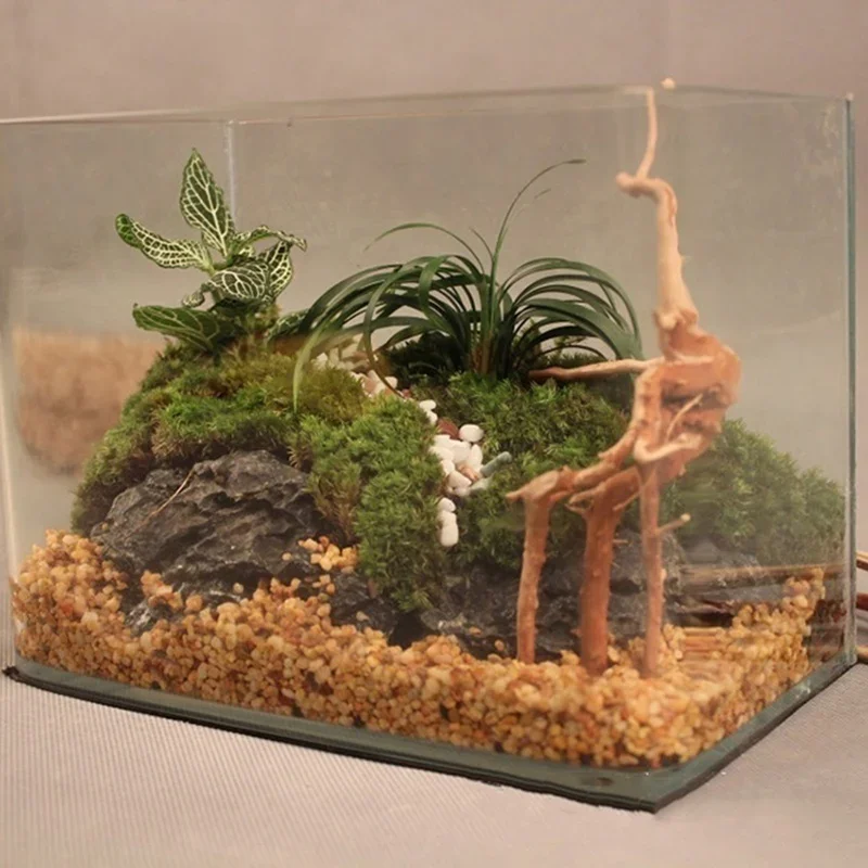 Natural Tree Trunk Driftwood A - Aquarium Plant Roots review and price