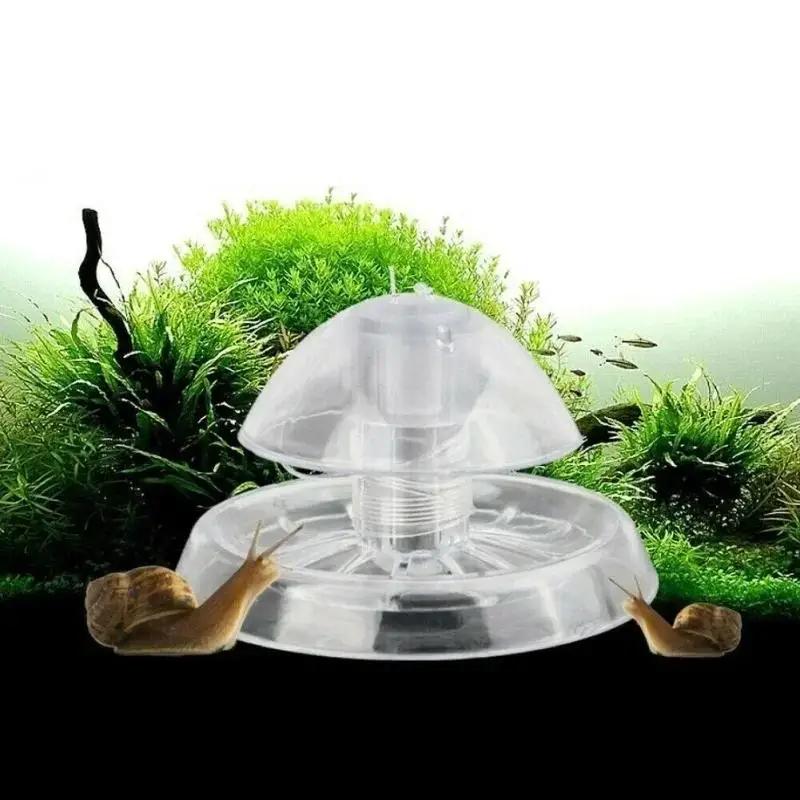 2026 New 6/8CM Clear Plastic S - Aquarium Planted Plants review and price