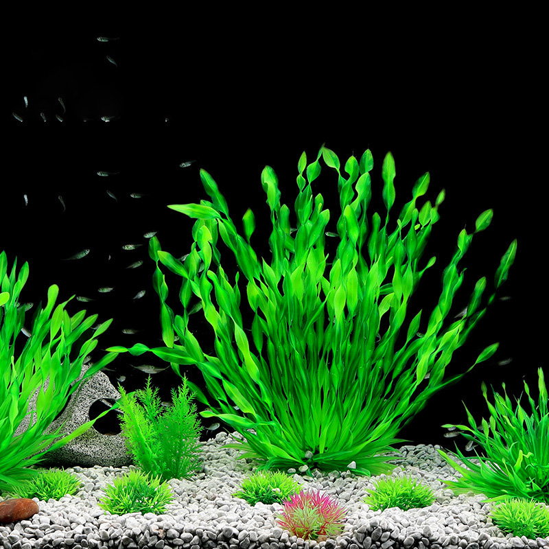 13/23/32/36/40cm Aquarium Arti - Aquarium Planted Seeds review and price