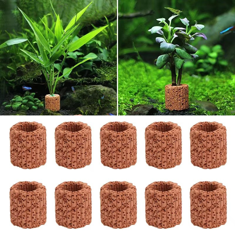 Aquatic Plant Fixed Ring for A - Aquarium Planted Seeds review and price