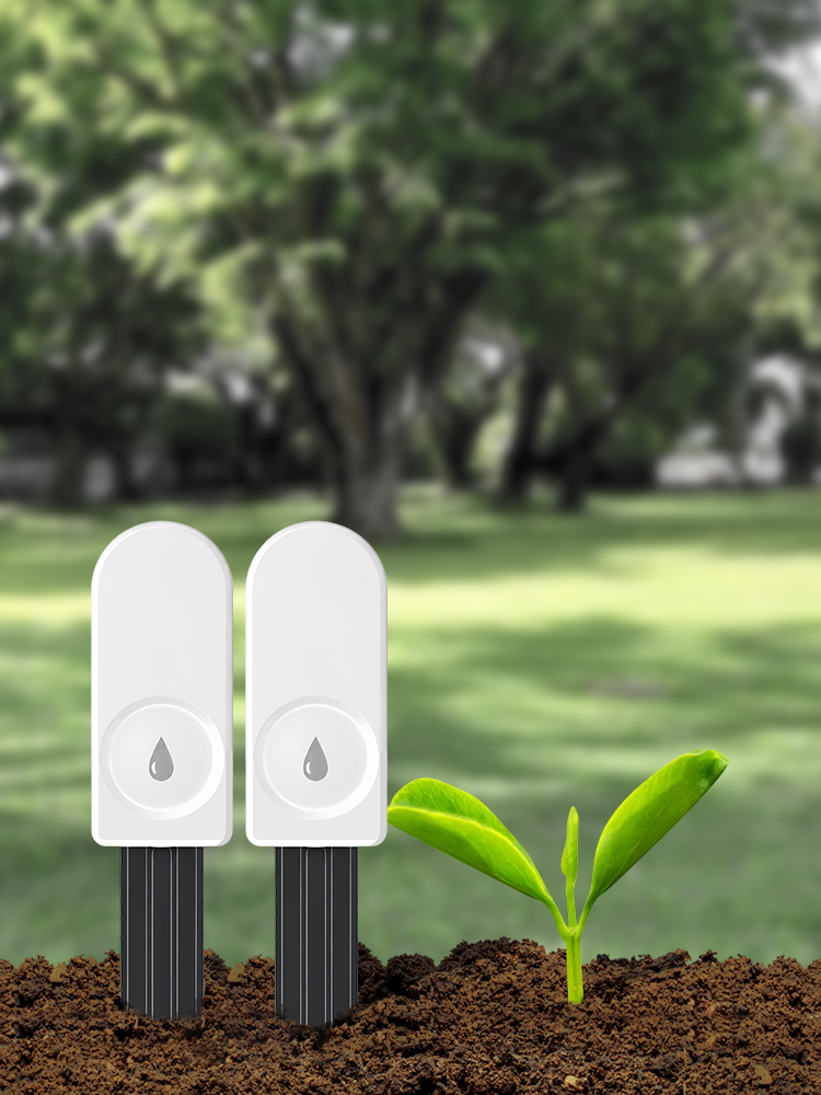 ZigBee Soil Moisture Meter for - Tissue Culture Plant review and price
