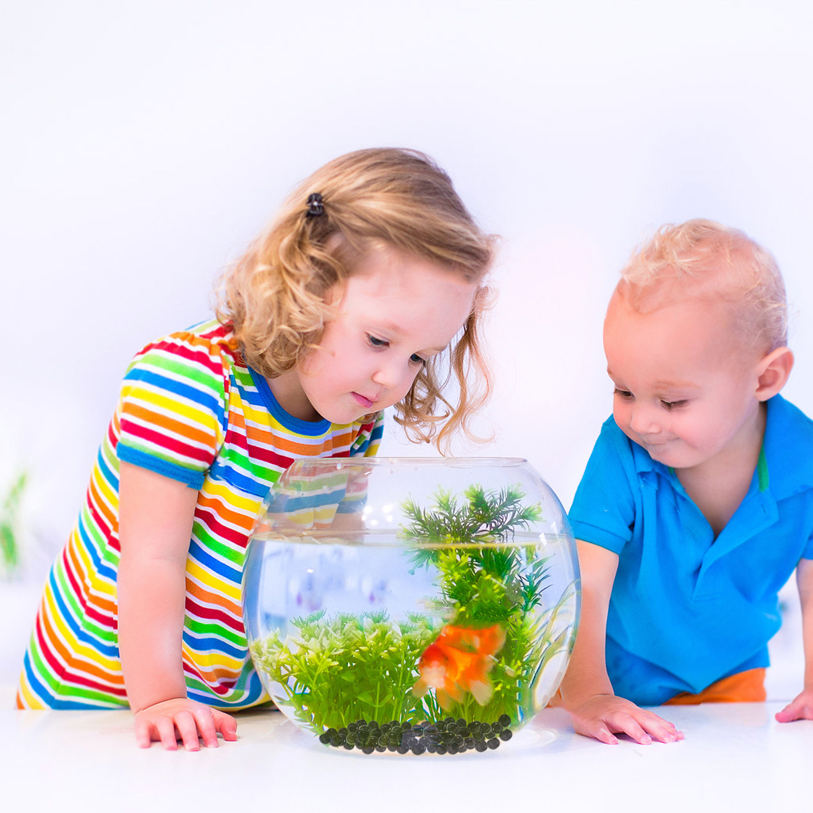 1Pack Aquarium Glass Beads Bla - Aquarium Planted Tank Soil review and price