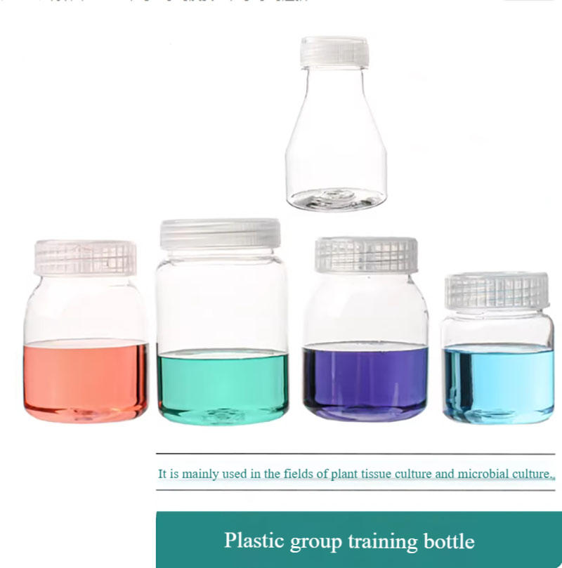 10pcs Plastic tissue culture b - Tissue Culture Plant review and price