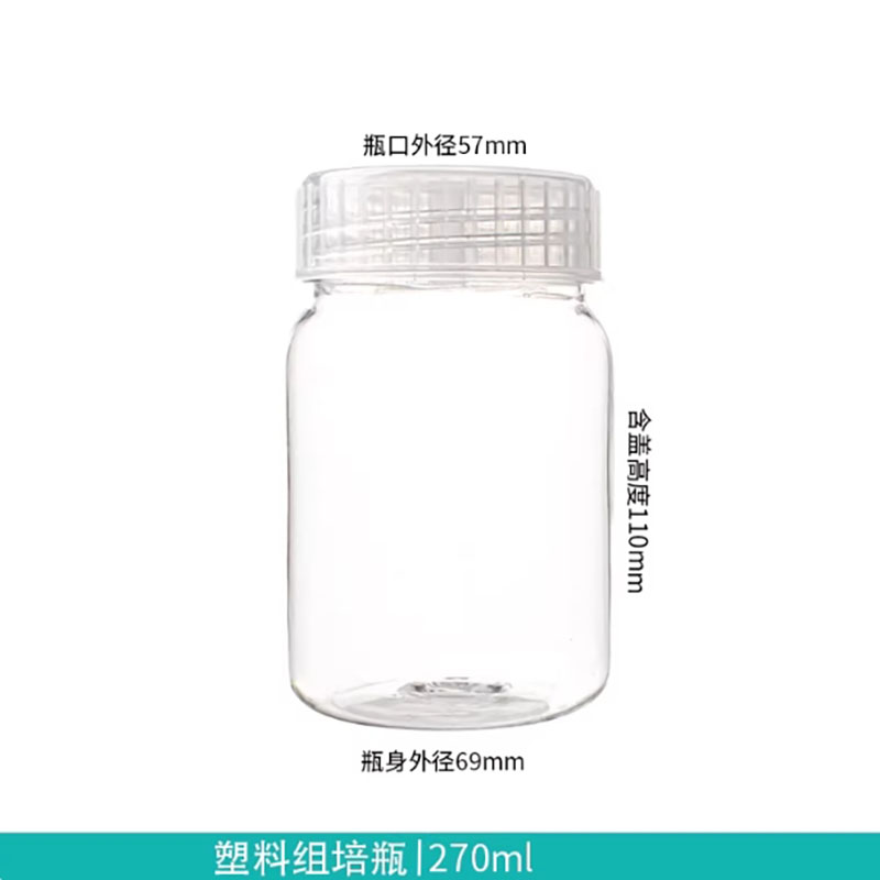 10pcs Plastic tissue culture b - Tissue Culture Plant review and price