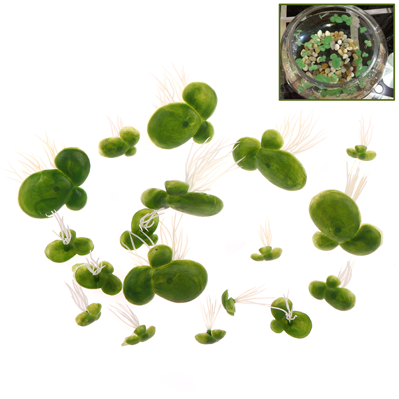 18pcs/set Aquarium Fish Tank D - Aquarium Plant Roots review and price