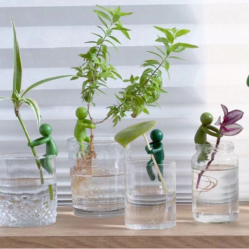 Hydroponic Plant Fixing Figuri - Tissue Culture Plant review and price