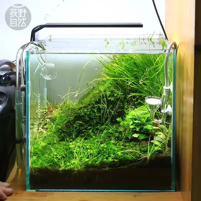 Chihiros C Series ADA Style Pl - Aquarium Plant Growth review and price