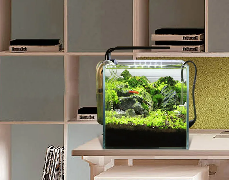 Chihiros C Series ADA Style Pl - Aquarium Plant Growth review and price
