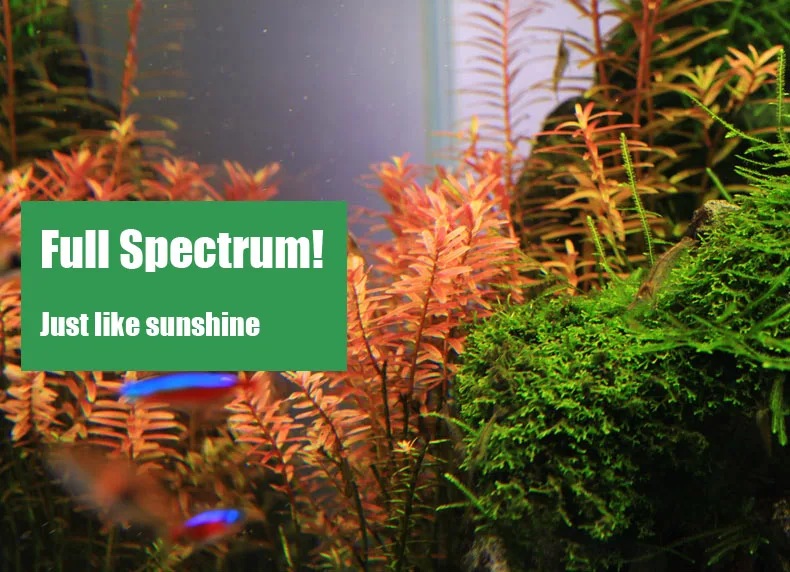 Chihiros C Series ADA Style Pl - Aquarium Plant Growth review and price