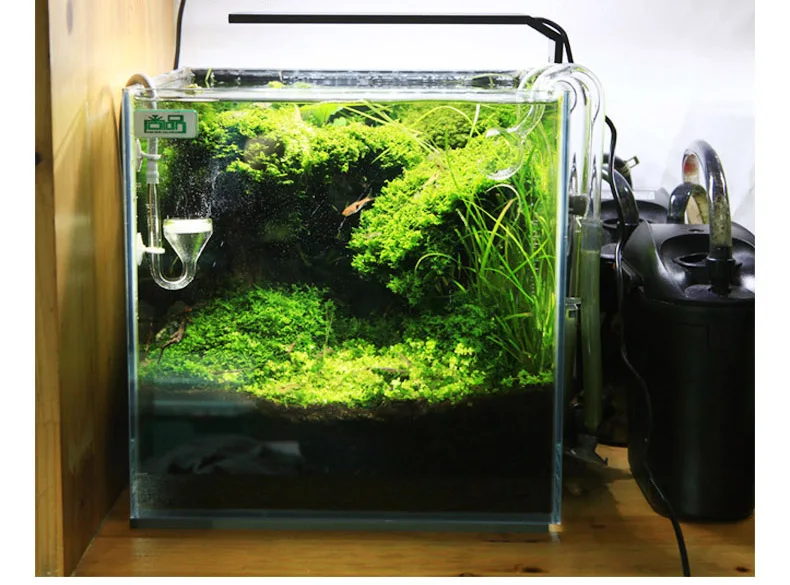 Chihiros C Series ADA Style Pl - Aquarium Plant Growth review and price