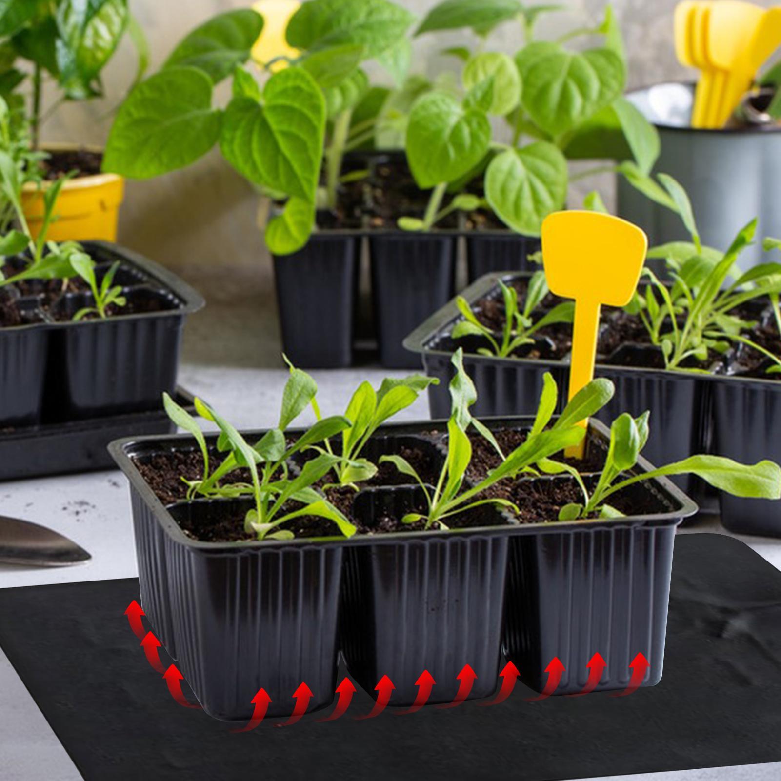 8.5W USB Seedling Heat Mats 3  - Tissue Culture Plant review and price