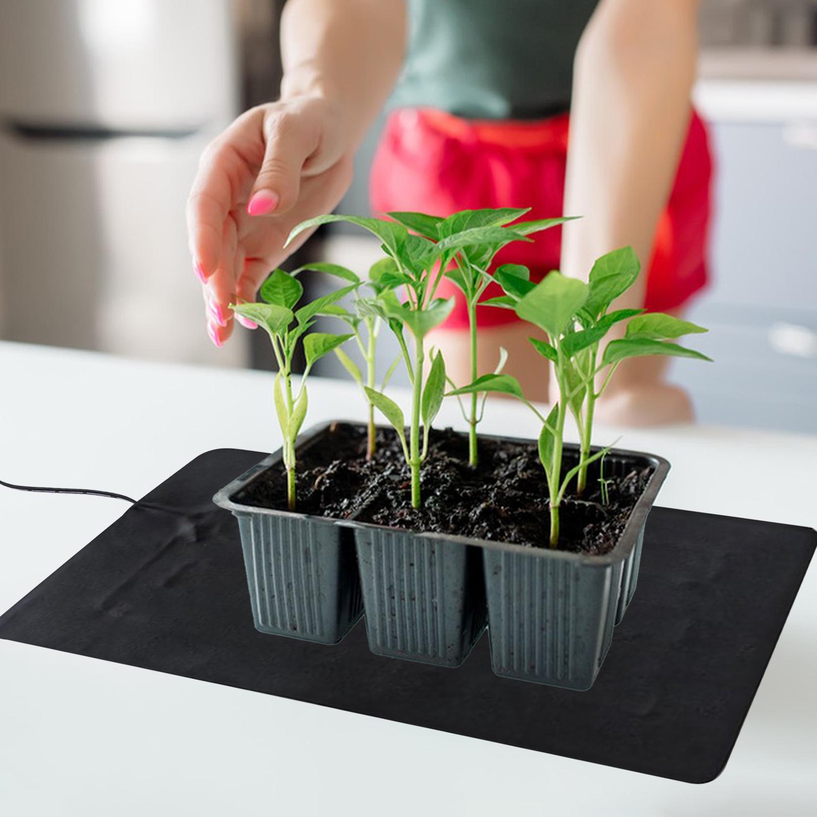 8.5W USB Seedling Heat Mats 3  - Tissue Culture Plant review and price
