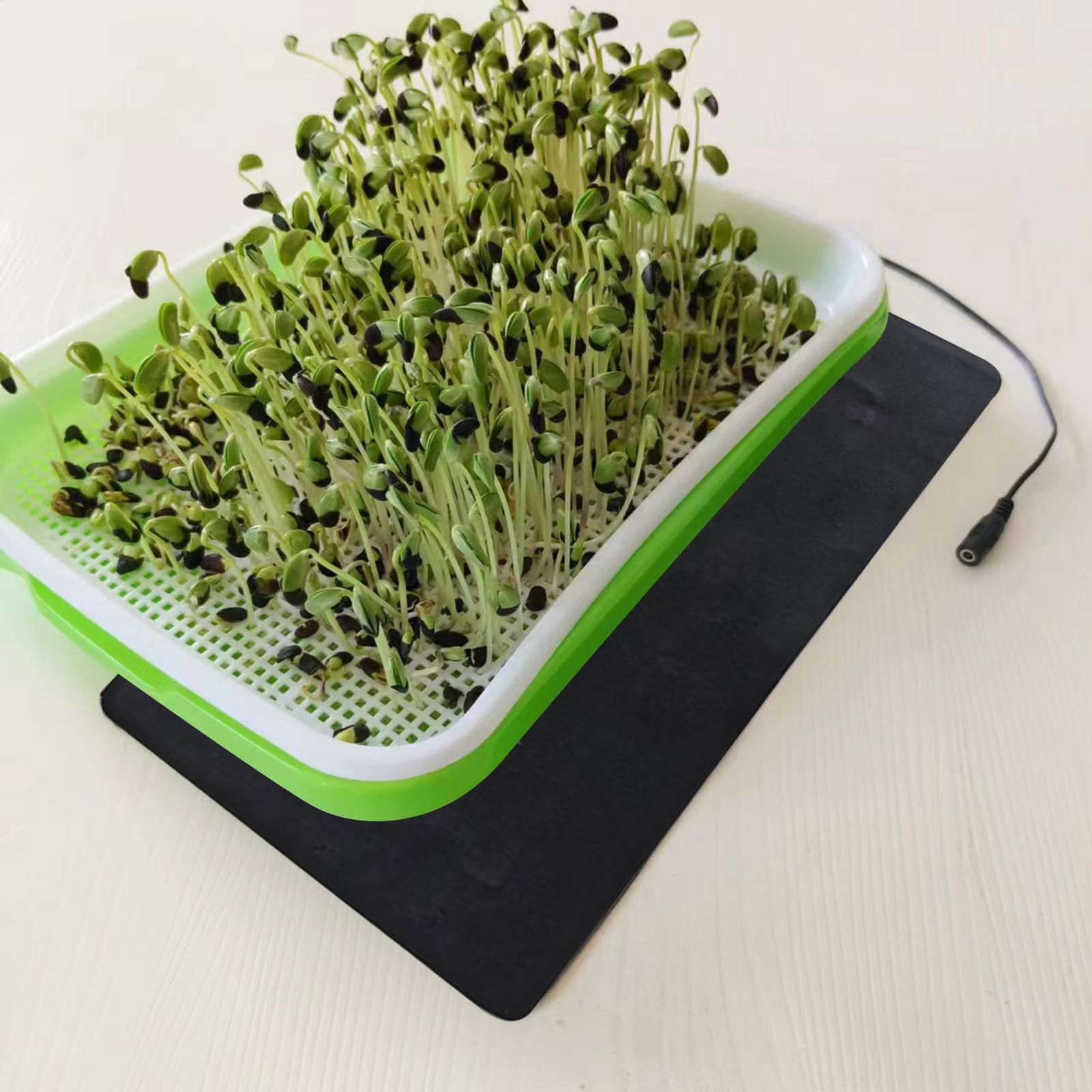8.5W USB Seedling Heat Mats 3  - Tissue Culture Plant review and price