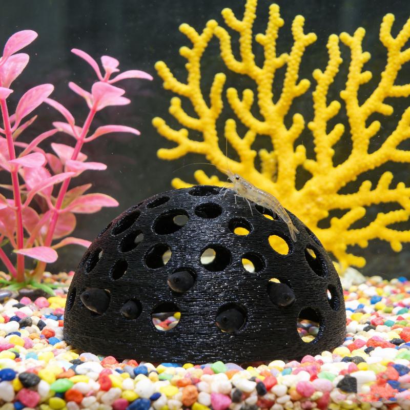 Aquarium Hidden Cave Shelter F - Aquarium Planted Seeds review and price