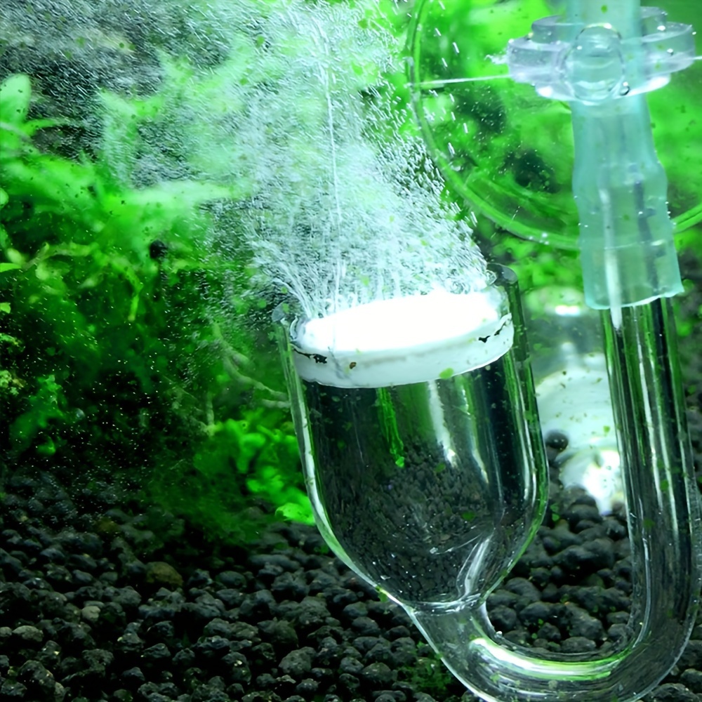 Aquarium Glass CO2 Atomizer Di - Planted Aquarium Parameters review and price