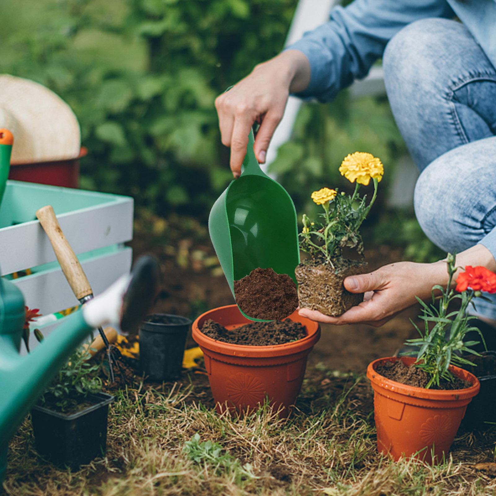 Gardening Shovel Soil Scoops L - Tissue Culture Plant review and price