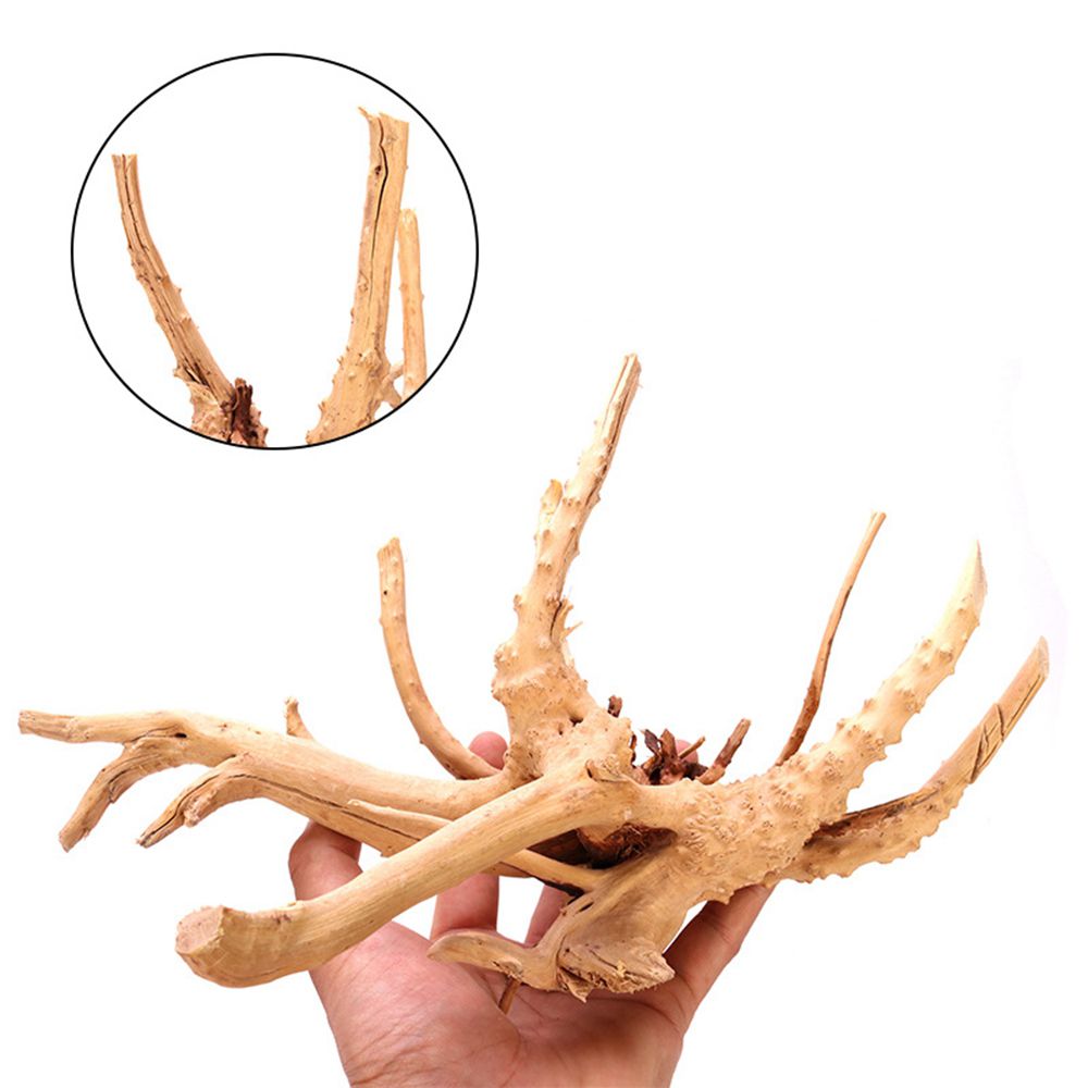 1 Pcs Wood Reptile Fish Tank O - Aquarium Plant Roots review and price