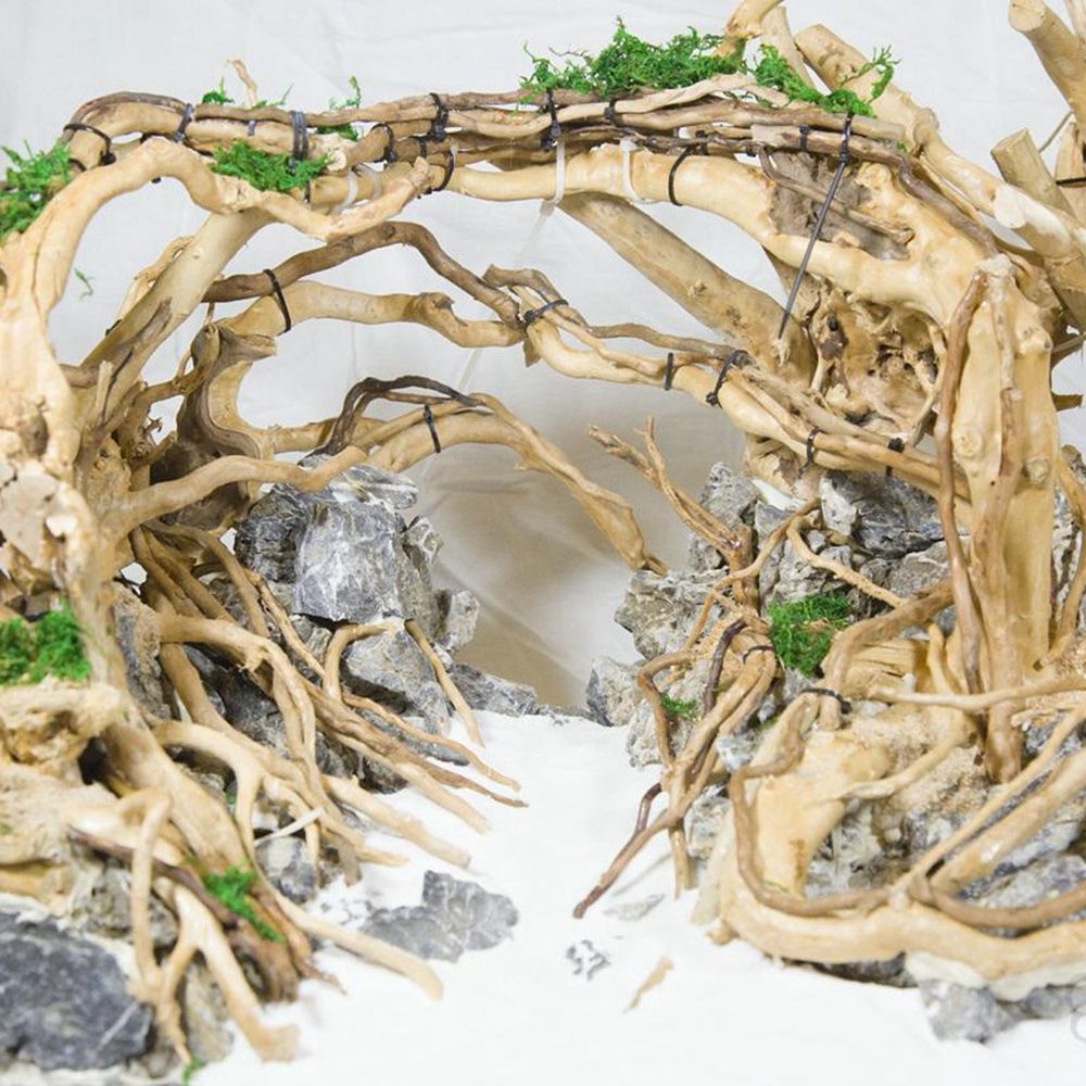 1 Pcs Wood Reptile Fish Tank O - Aquarium Plant Roots review and price