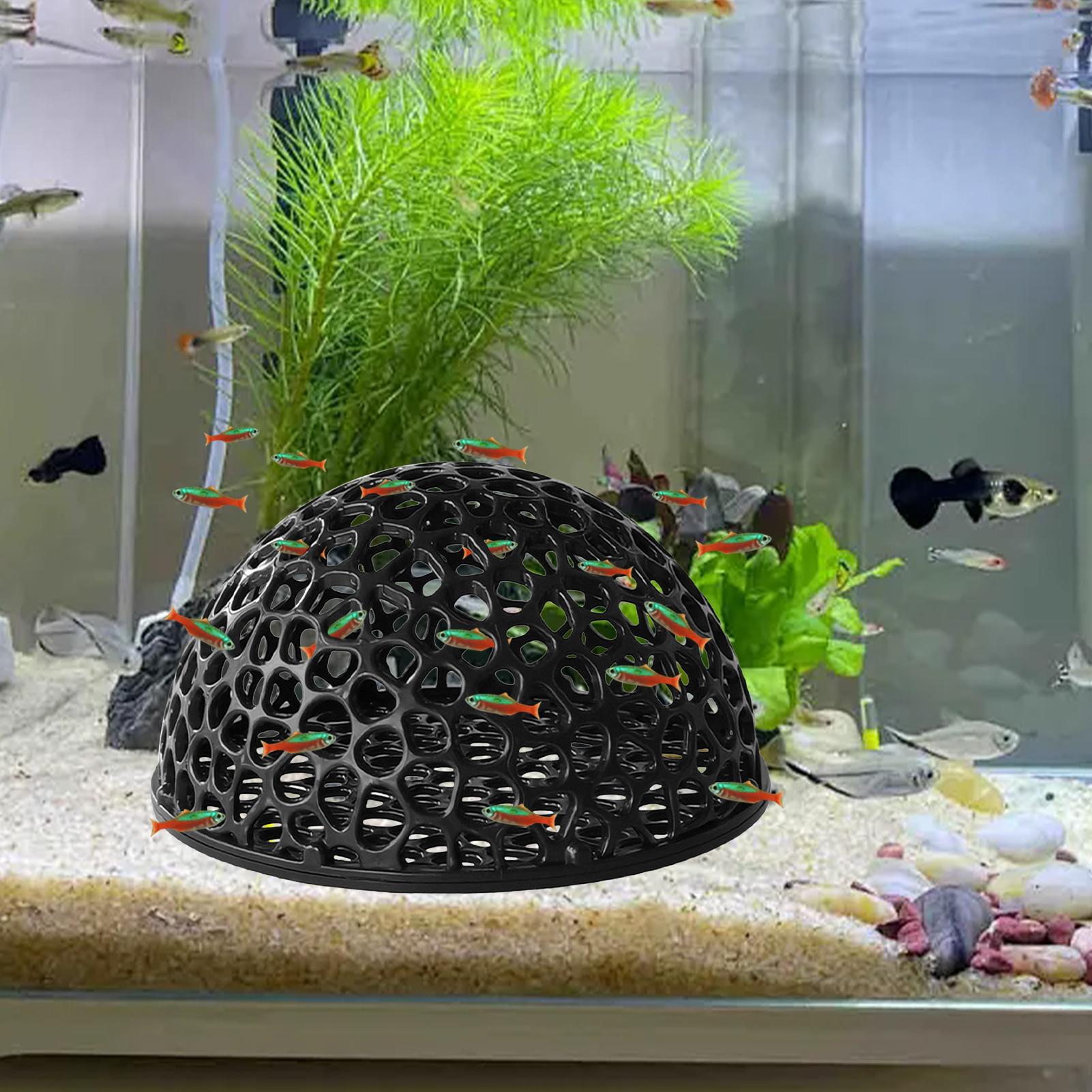 Shrimp Breeding Cave fish tank - Aquarium Planted Seeds review and price