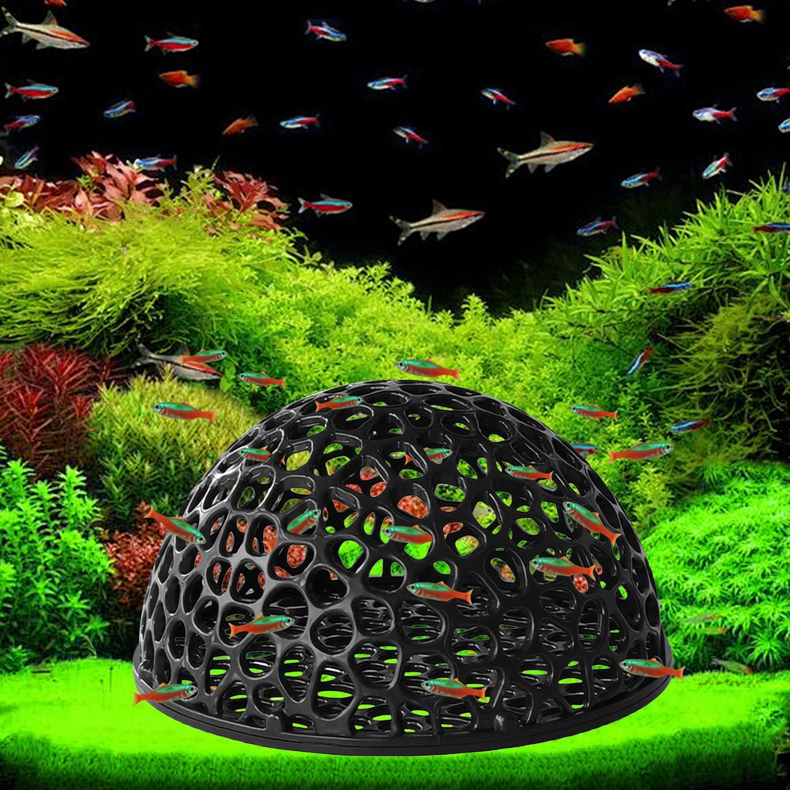 Shrimp Breeding Cave fish tank - Aquarium Planted Seeds review and price