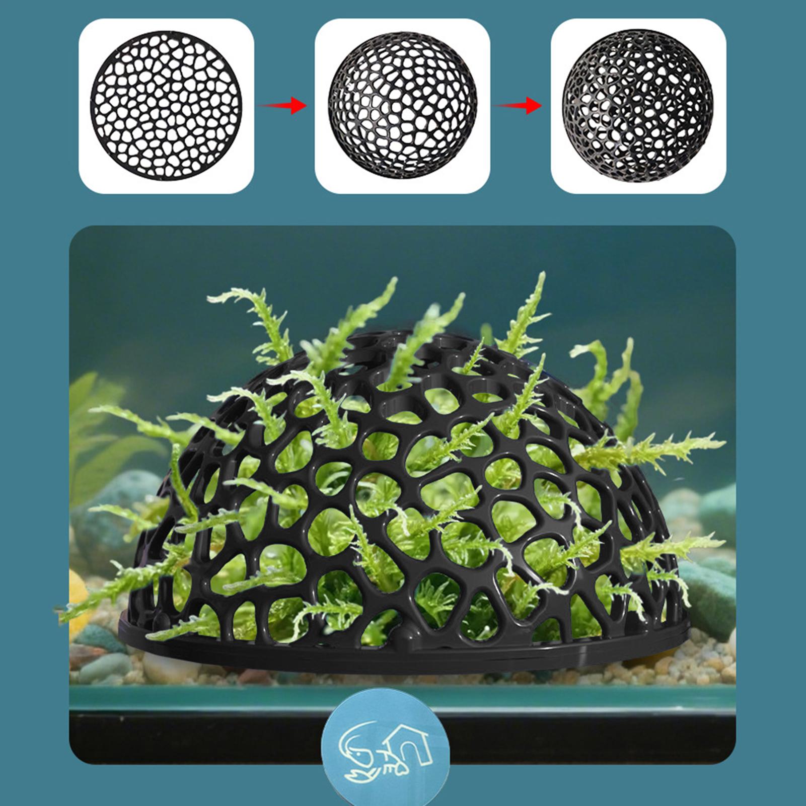 Shrimp Breeding Cave fish tank - Aquarium Planted Seeds review and price
