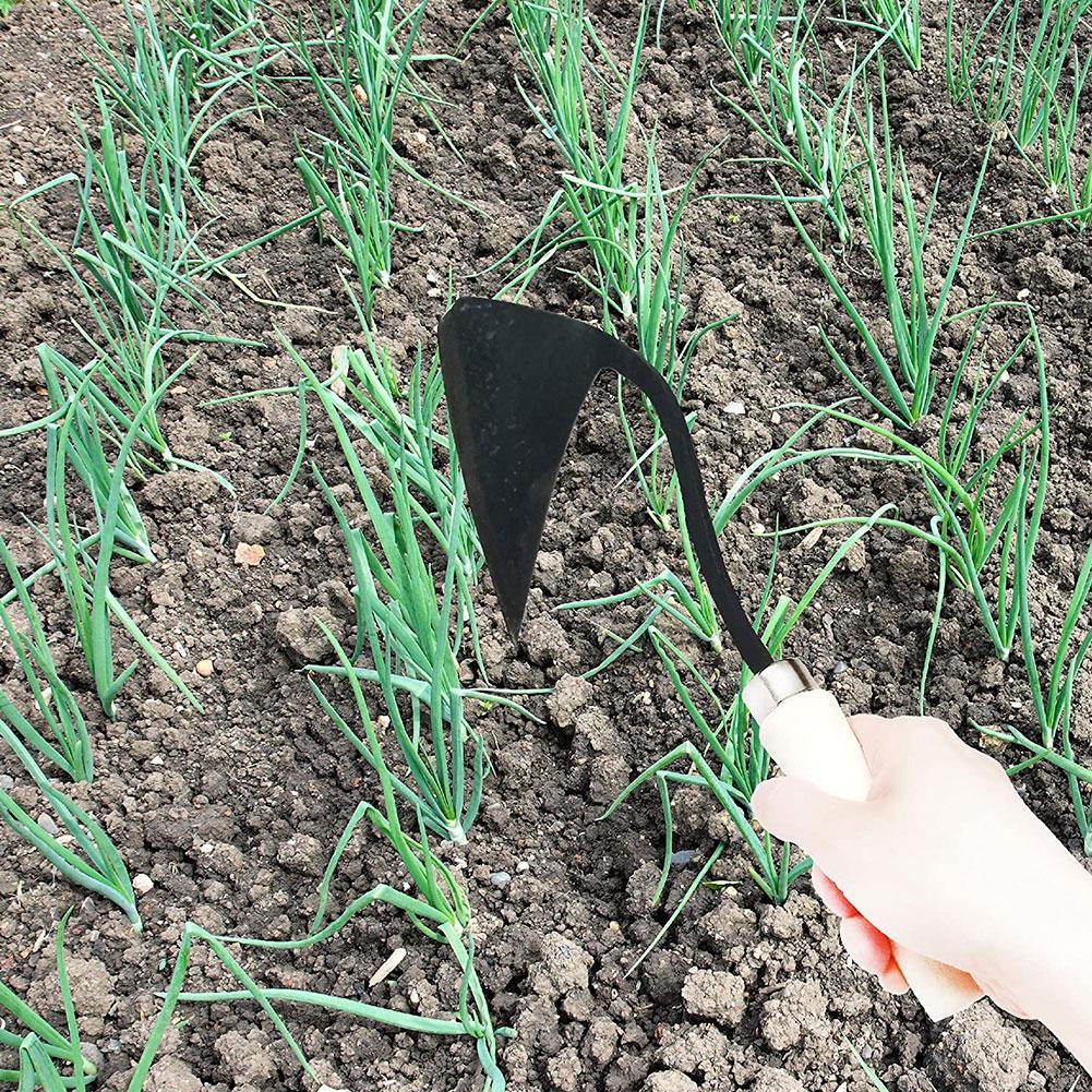 Farm Tools Hoes Triangle Furro - Tissue Culture Plant review and price