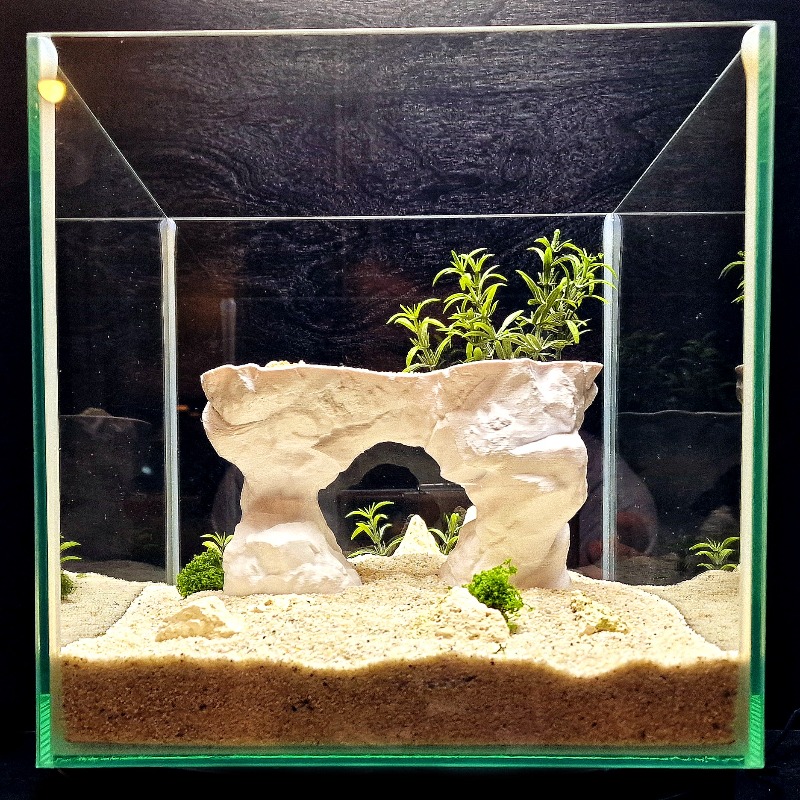 3D Printed Aquarium Planting B - Aquarium Planted Tank Soil review and price