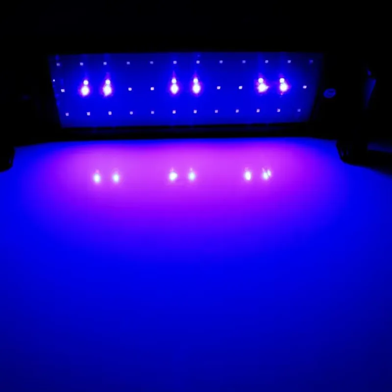 GAKO 11W ZJL-60A Hot Selling C - Planted Aquarium Competition review and price