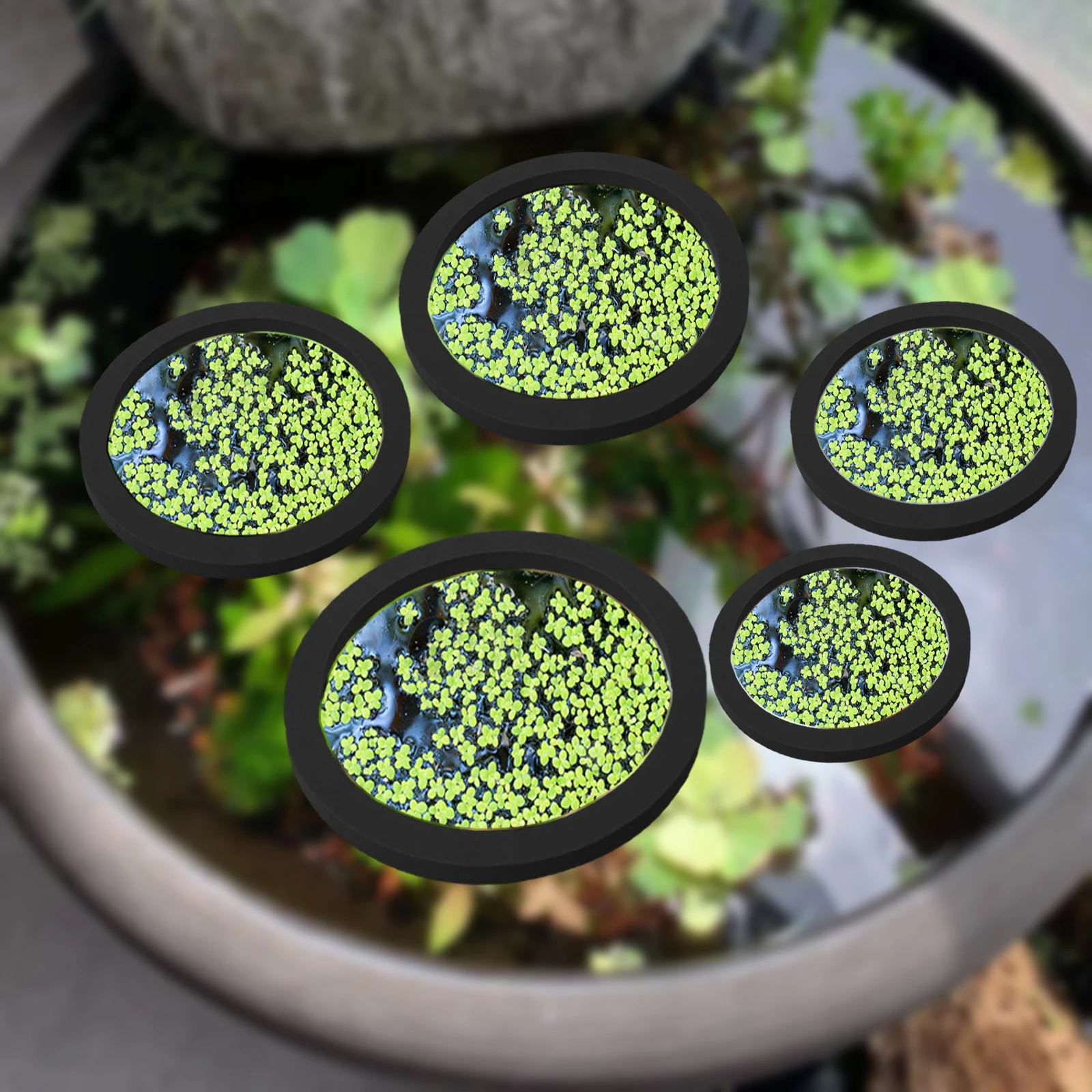 5Pcs EVA Fish Feeding Ring Aqu - Aquarium Planted Plants review and price