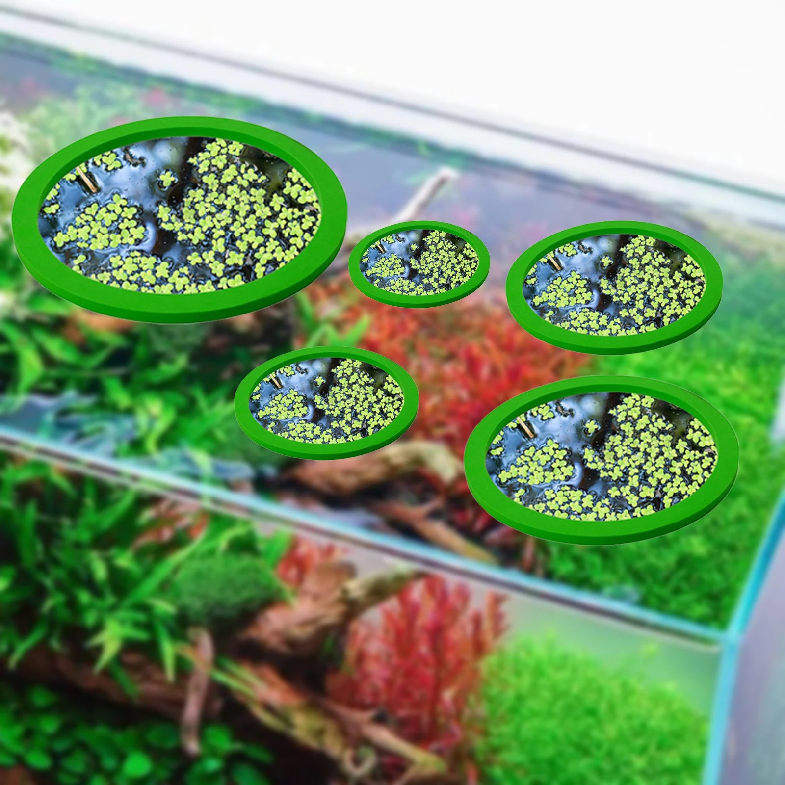 5Pcs EVA Fish Feeding Ring Aqu - Aquarium Planted Plants review and price