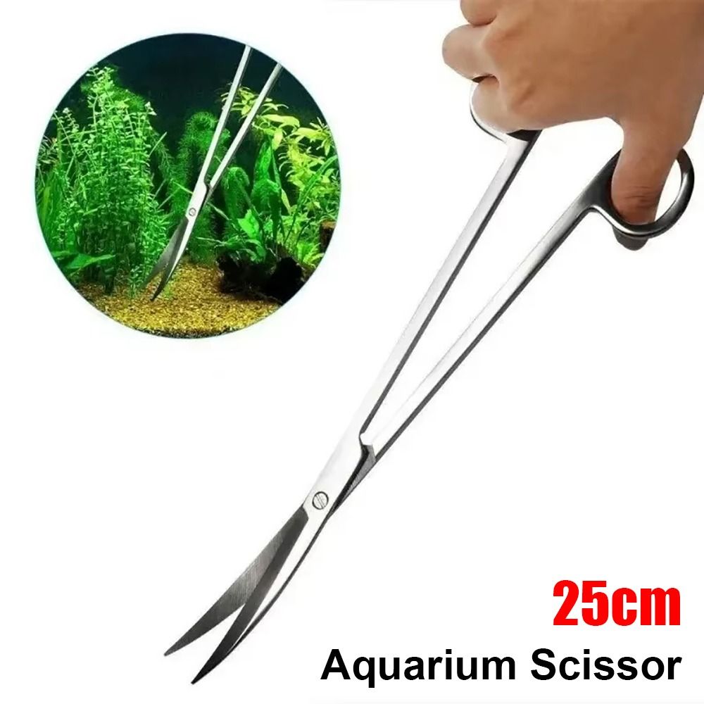 1Pcs Stainless Steel Aquarium  - Aquarium Plant Grass review and price