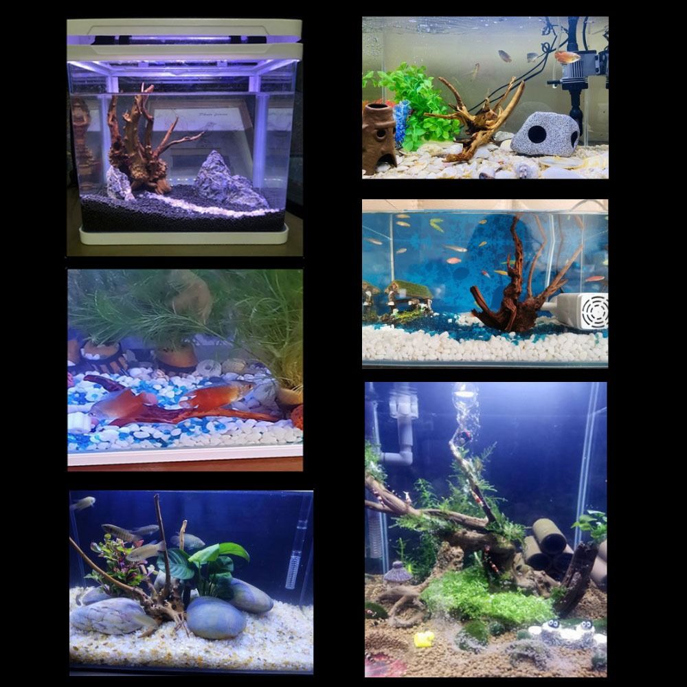 20-25CM Large Aquarium Driftwo - Aquarium Plant Roots review and price