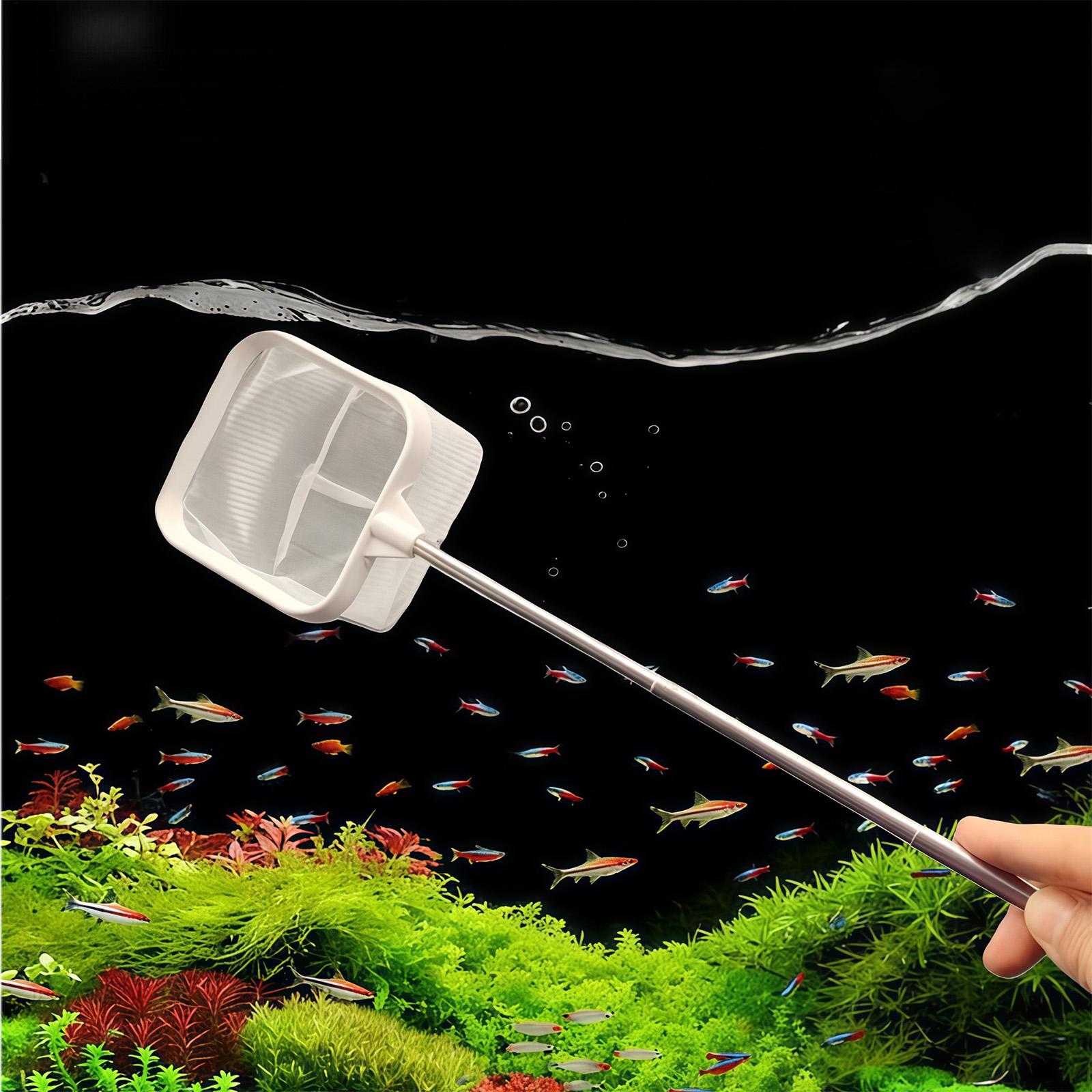 Extendable Long Handle Fine Me - Aquarium Plant Roots review and price