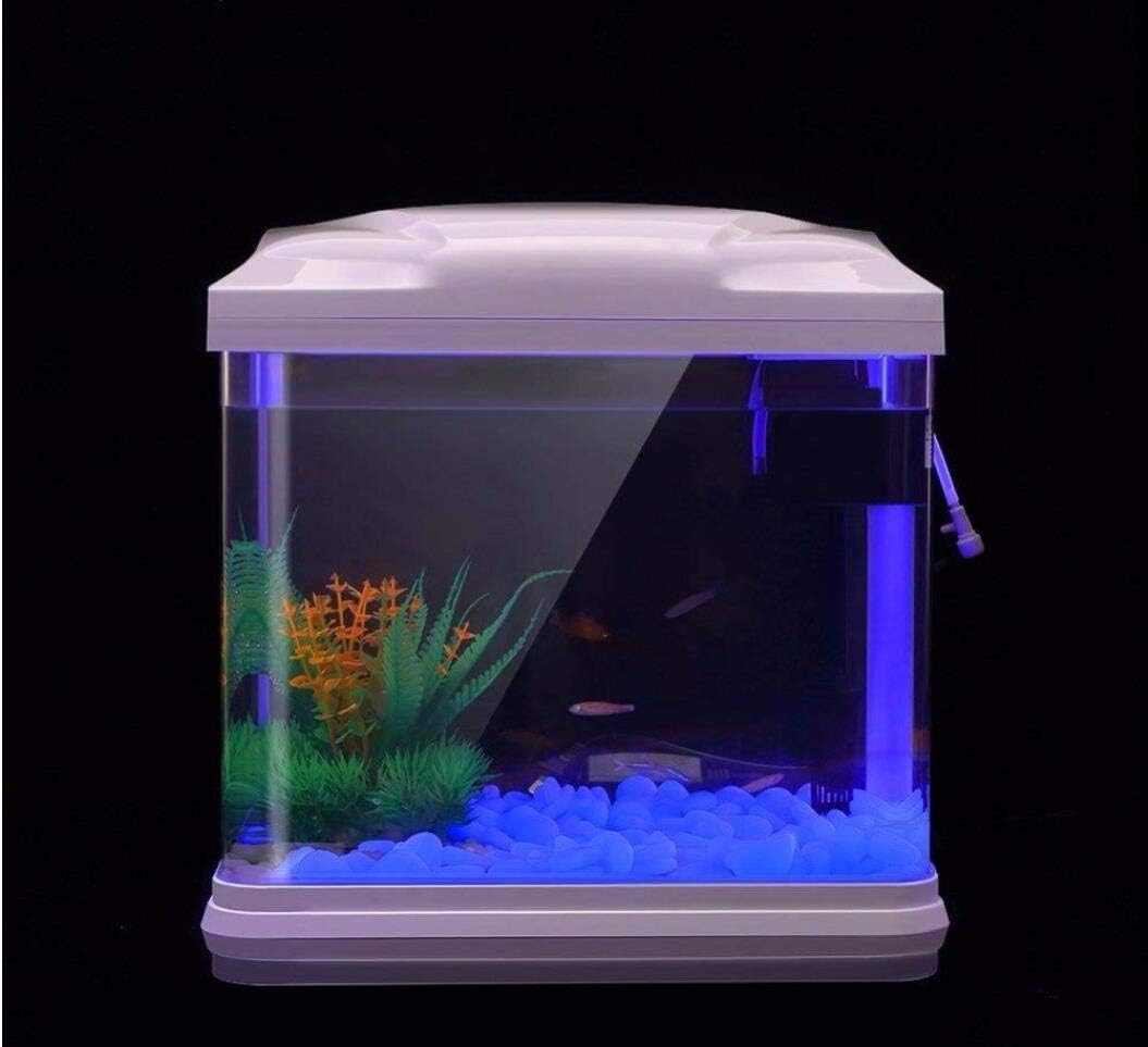 Fish Tank Rocks Glow Blue Pebb - Planted Aquarium Parameters review and price