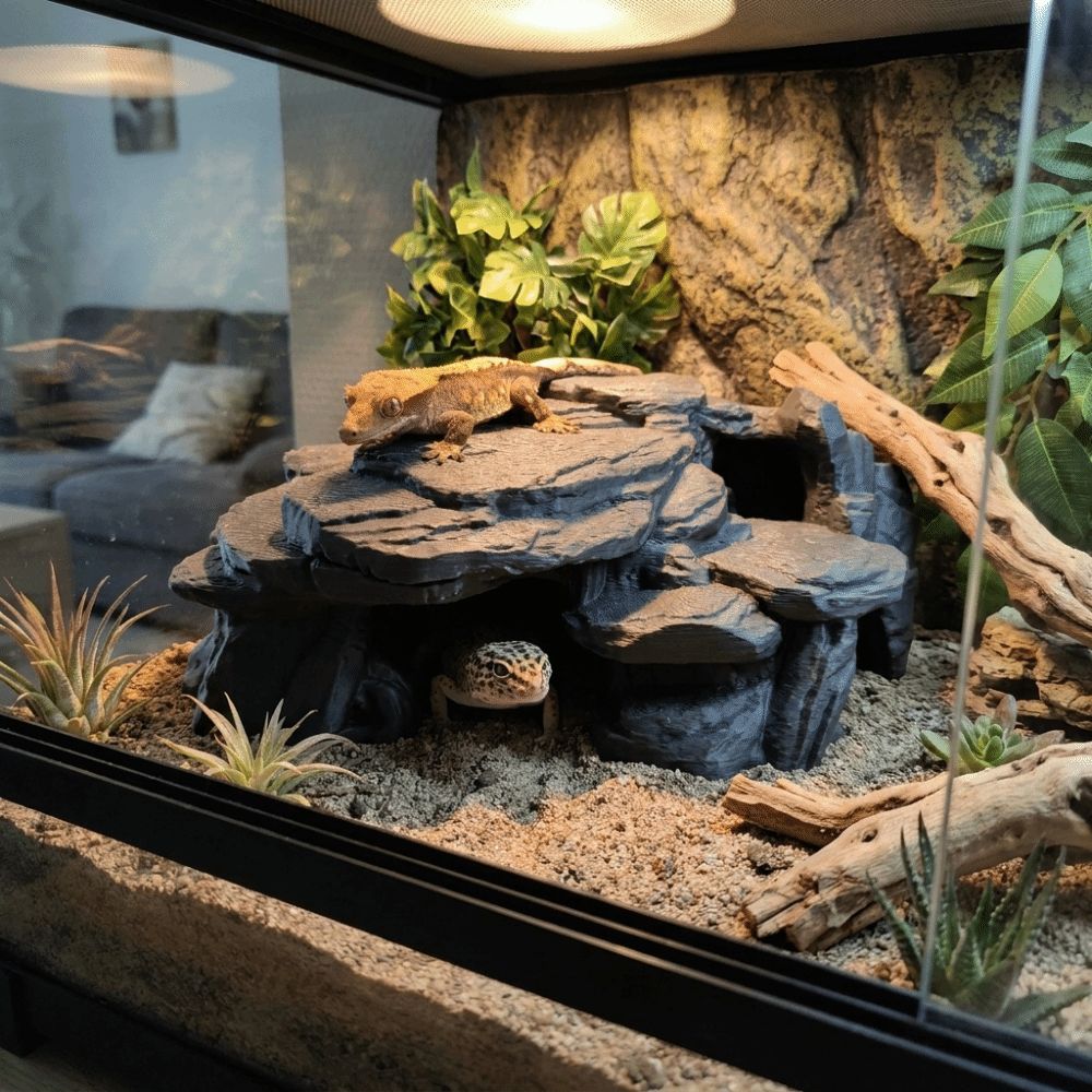 3D Printing Fish Tank Rockery  - Aquarium Planted Seeds review and price
