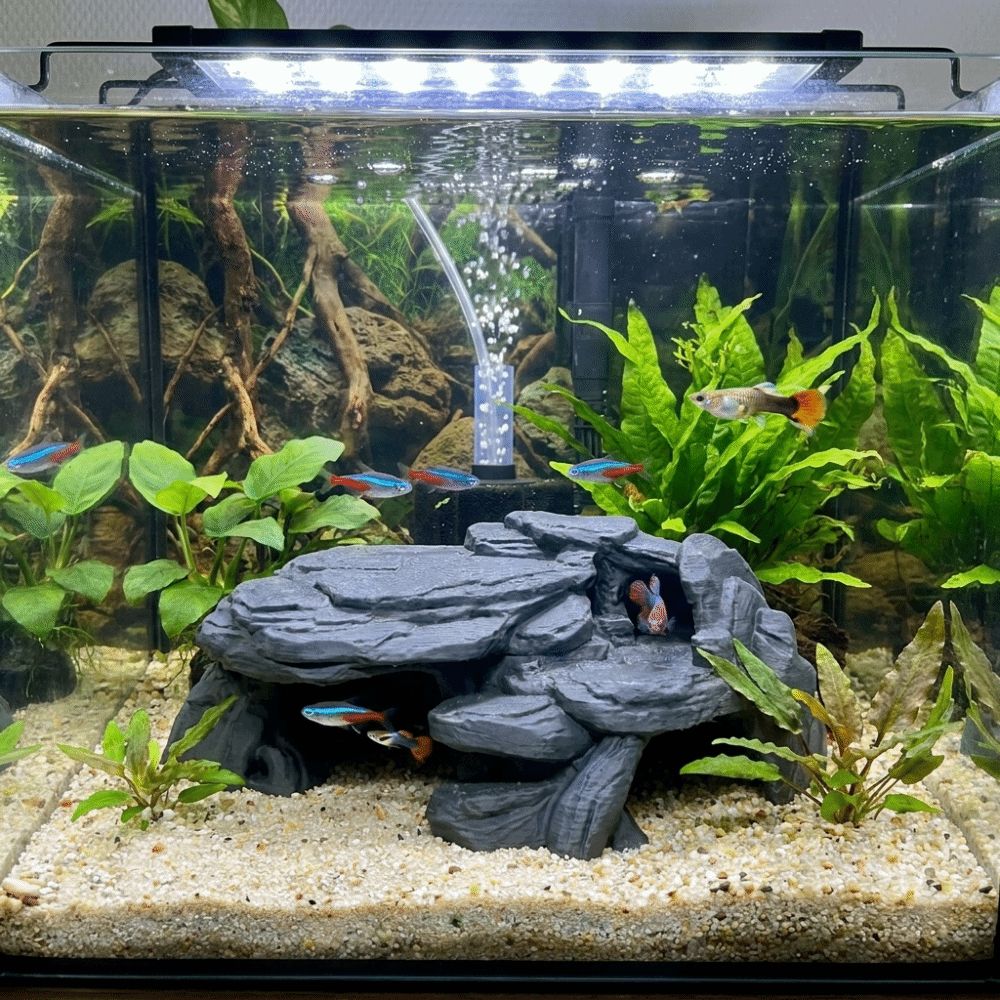 3D Printing Fish Tank Rockery  - Aquarium Planted Seeds review and price