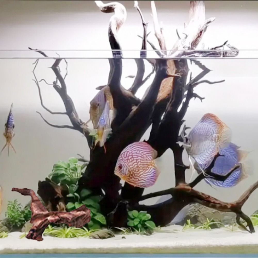 Creative Irregular Shape Coral - Aquarium Plant Roots review and price