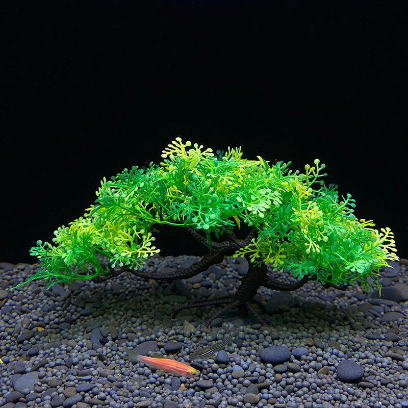 Aquarium bonsai tree, plant, f - Aquarium Planted Seeds review and price