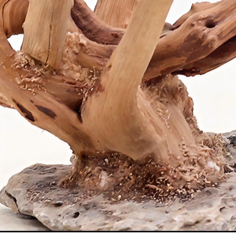 1PC Aquarium Landscaping Wood  - Aquarium Plant Roots review and price