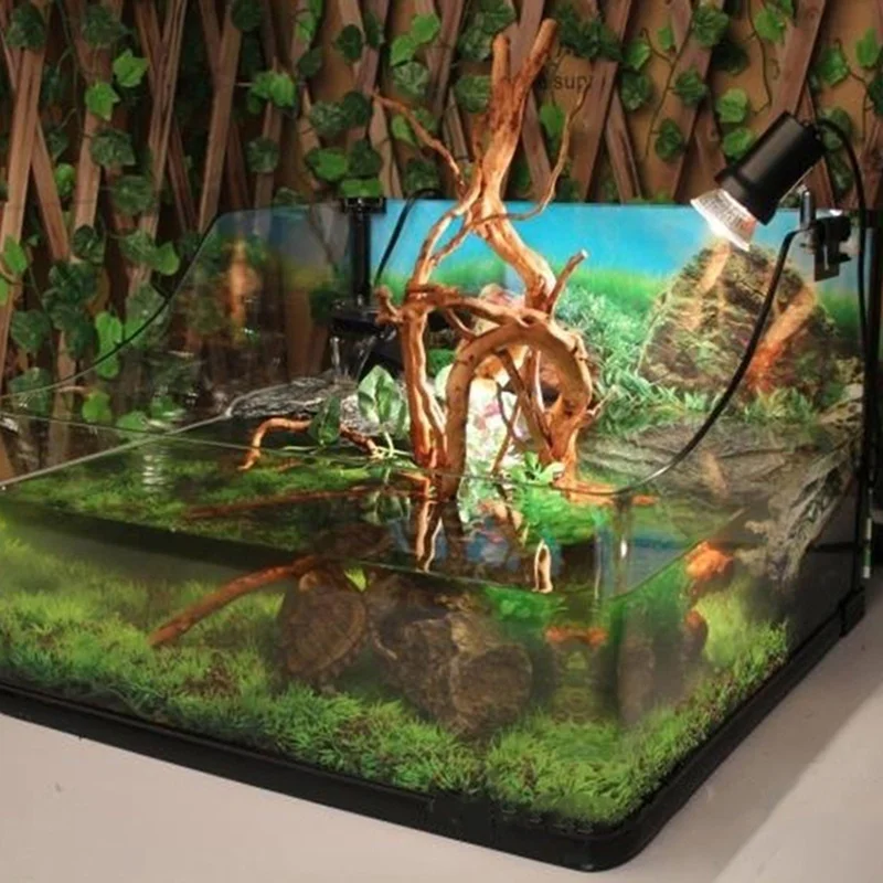 Natural Tree Trunk Driftwood A - Planted Aquarium Making review and price