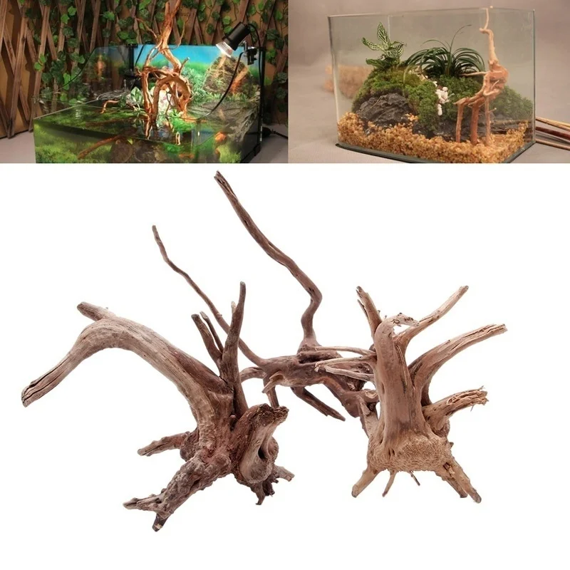 Natural Tree Trunk Driftwood A - Planted Aquarium Making review and price