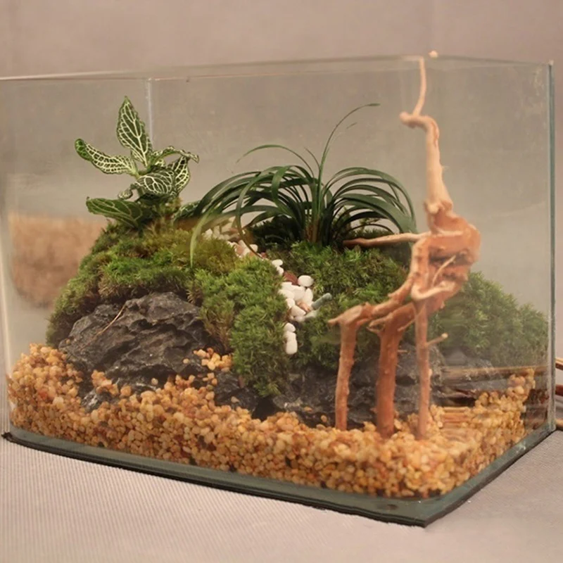 Natural Tree Trunk Driftwood A - Planted Aquarium Making review and price